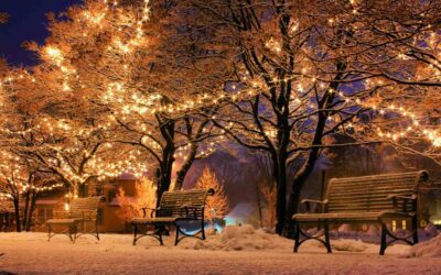 Cornwall Christmas Fair 2021