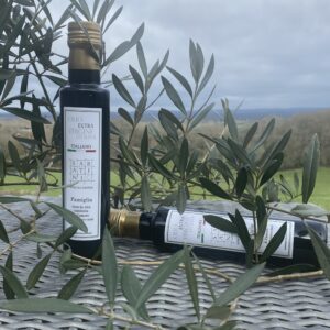 Sabatini - The Connoisseurs Collection